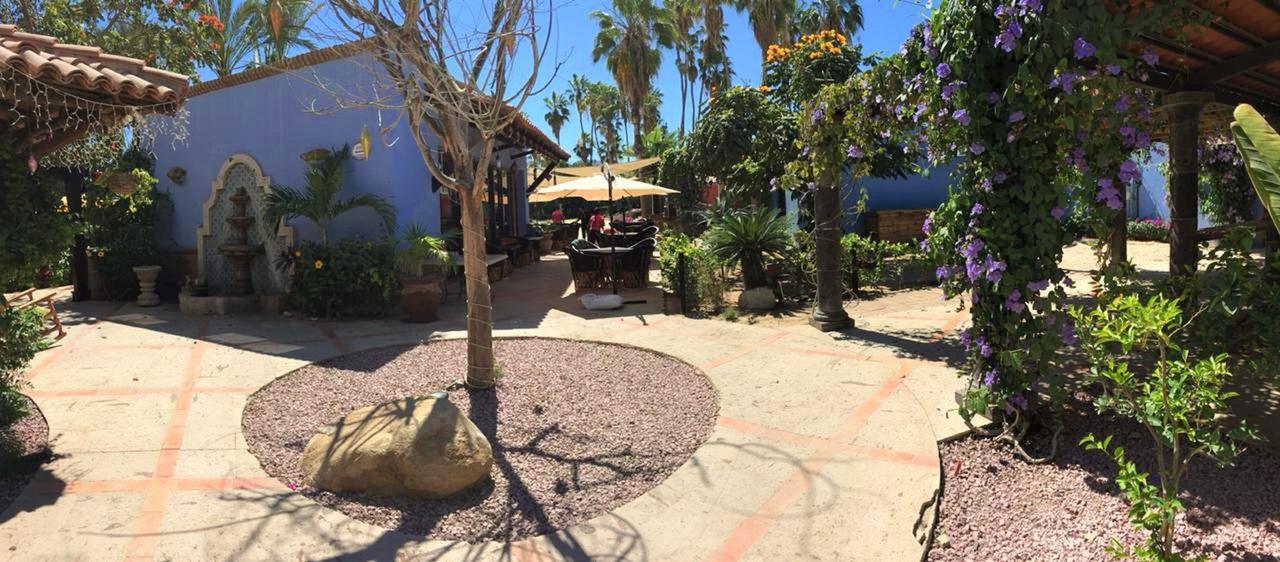 El Encanto Inn&suites San José del Cabo